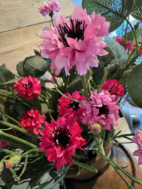 Kunsttak Centaurea ( korenbloem )