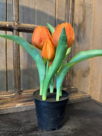 Kunst tulpen in potje