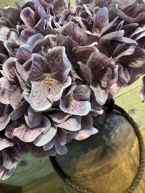 Hortensia bundel lila - paars