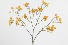 Kunsttak  Gypsophila  oker geel