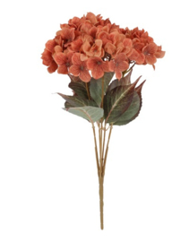 Hortensia bundel koper - brons
