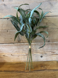 Eucalyptus bundel