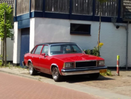 Chevrolet Malibu bj 1978 5.0 L 8 cilinder Verkocht