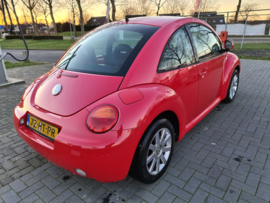 Volkswagen Love Beetle ❤ verkocht