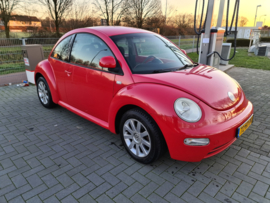 Volkswagen Love Beetle ❤ verkocht