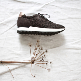 Sadie leo jogger in 'Brown'