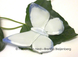 klein speels wit en blauw vlindertje