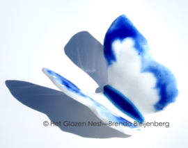 Witte glasvlinder met blauwe accenten