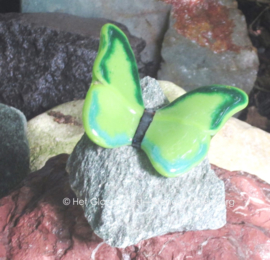 Grasgroene vlinder op groene steen