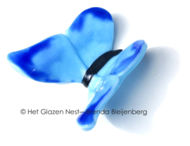 Aqua kleurige vlinder met blauwe accenten