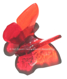 Rode glas vlinder