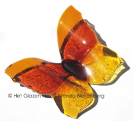 Okergele vlinder in doorzichtig glas