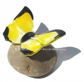 gele vlinder met zwart randje als mini urn