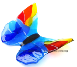 Blauwe vlinder met geel en rode vleugels