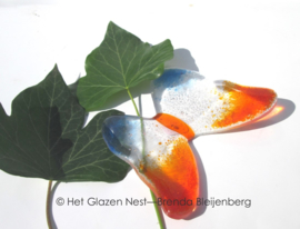 Vliegende glasvlinder in oranje, blank en blauw