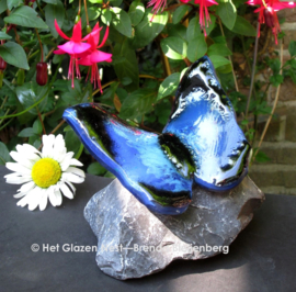 Blauwe vlinder met zwarte randen