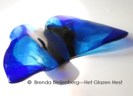 blauwe vlinder in transparant glas