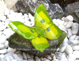 geel en groene vlinder op ruwe steen