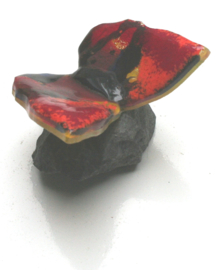Vlinder in speels rood glas