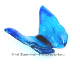 Helder blauwe vlinder in doorzichtig glas