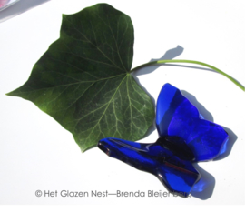 klein blauw vlindertje