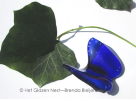 kleine vlinder in blauwe kleuren