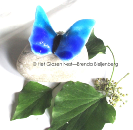 vlindertje in aqua en blauw op maaskei