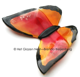 Oranje glas vlinder met zwarte randen