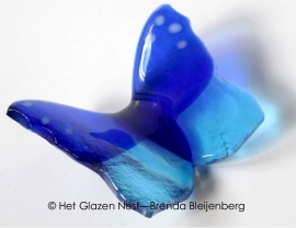 kleine vlinder in kobalt en aqua blauw