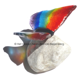 Regenboog vlinder in transparant glas