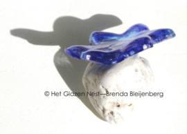 Kleine blauwe ster-bloem in glaskunst