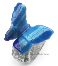 Dansende blauwe vlinder op steentje