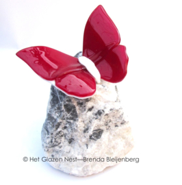 Rode vlinder op witte steen