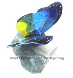 Grote glas vlinder in blauw, geel en groen