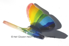 Glazen regenboog vlinder