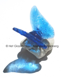 Kleine Aqua blauwe vlinder op steentje