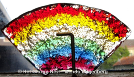 Kleine regenboog