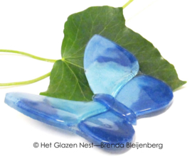 blauwe vlinder met ronde vleugels