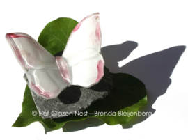 Kleine witte vlinder met roze randen