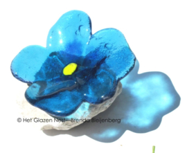 bloemetje op steen in blauw glas