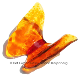 Oranje vlinder in doorzichtig glas