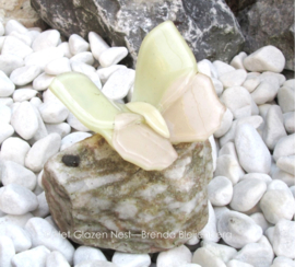 Glazen vlinder in crème kleuren