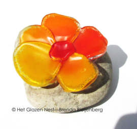 Oranje viooltje in glaskunst