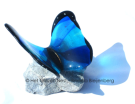 Speelse blauwe vlinder met donkere randen