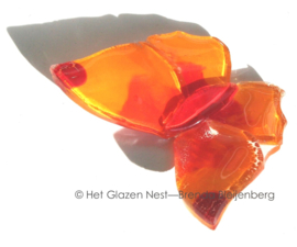 Glazen vlinder in speels oranje kleuren