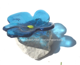 bloemetje op steen in blauw glas
