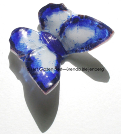 Wit en blauwe vlinder met zwarte randen