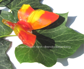 vlindertje in oranje en geel