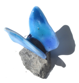 Kleine vlinder in aqua blauw glas