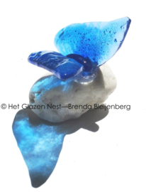 Kleine Aqua blauwe vlinder op steentje